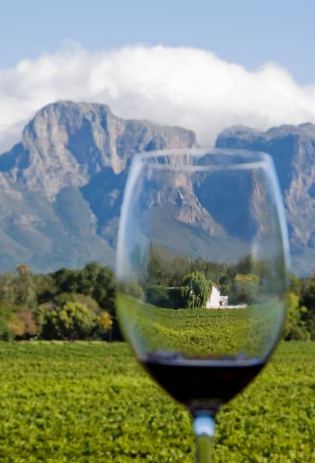 Wine tasting experience in Cape Winelands vineyards with scenic mountain views