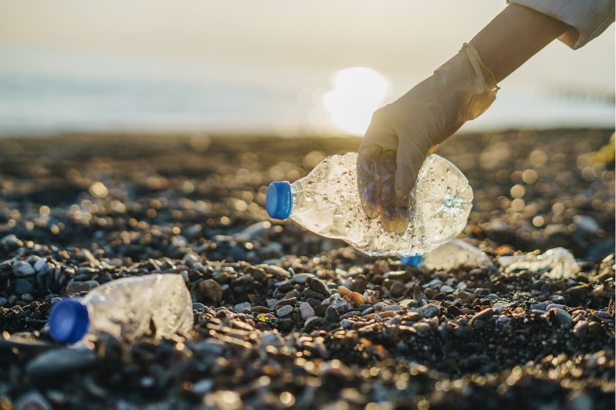 Conservation & Community experience detail - authentic conservation & community activities in South Africa