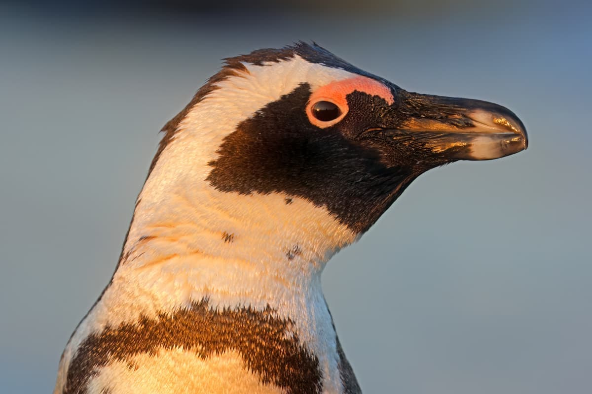 Conservation & Community experience in South Africa - scenic view showcasing conservation & community activities