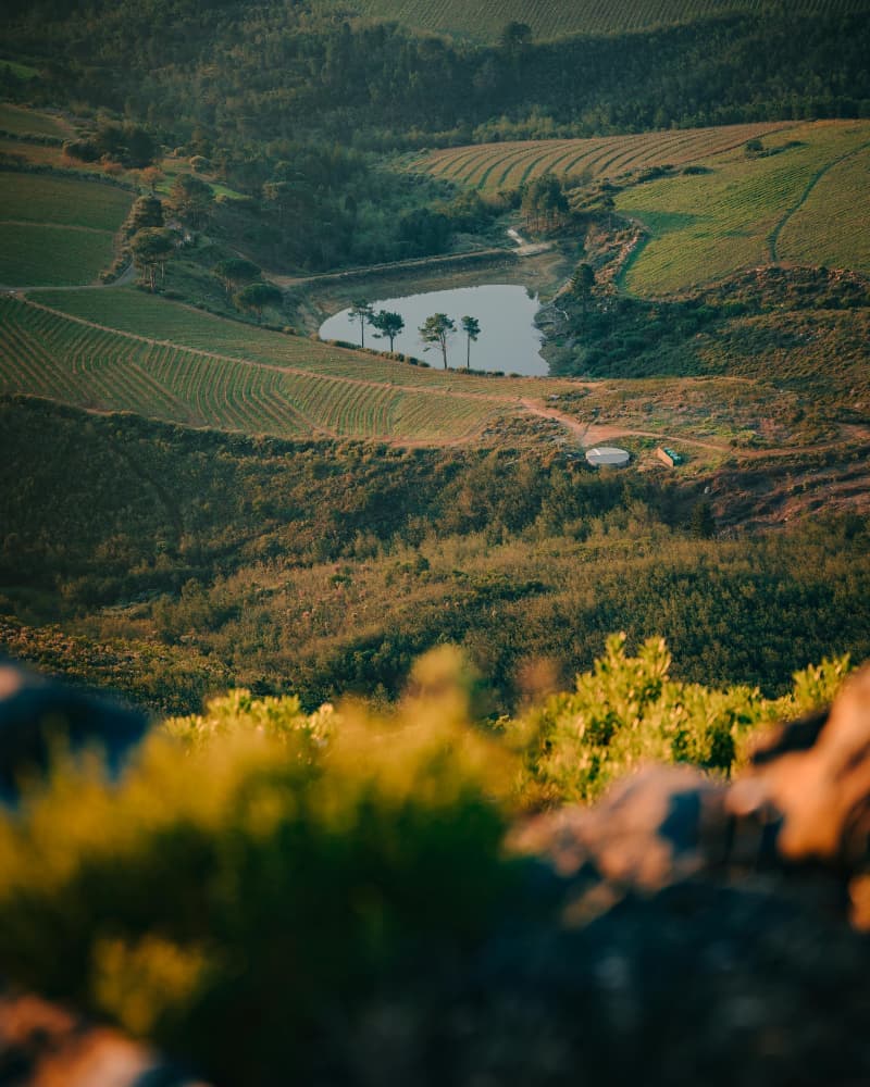 Cape Winelands - Image 1