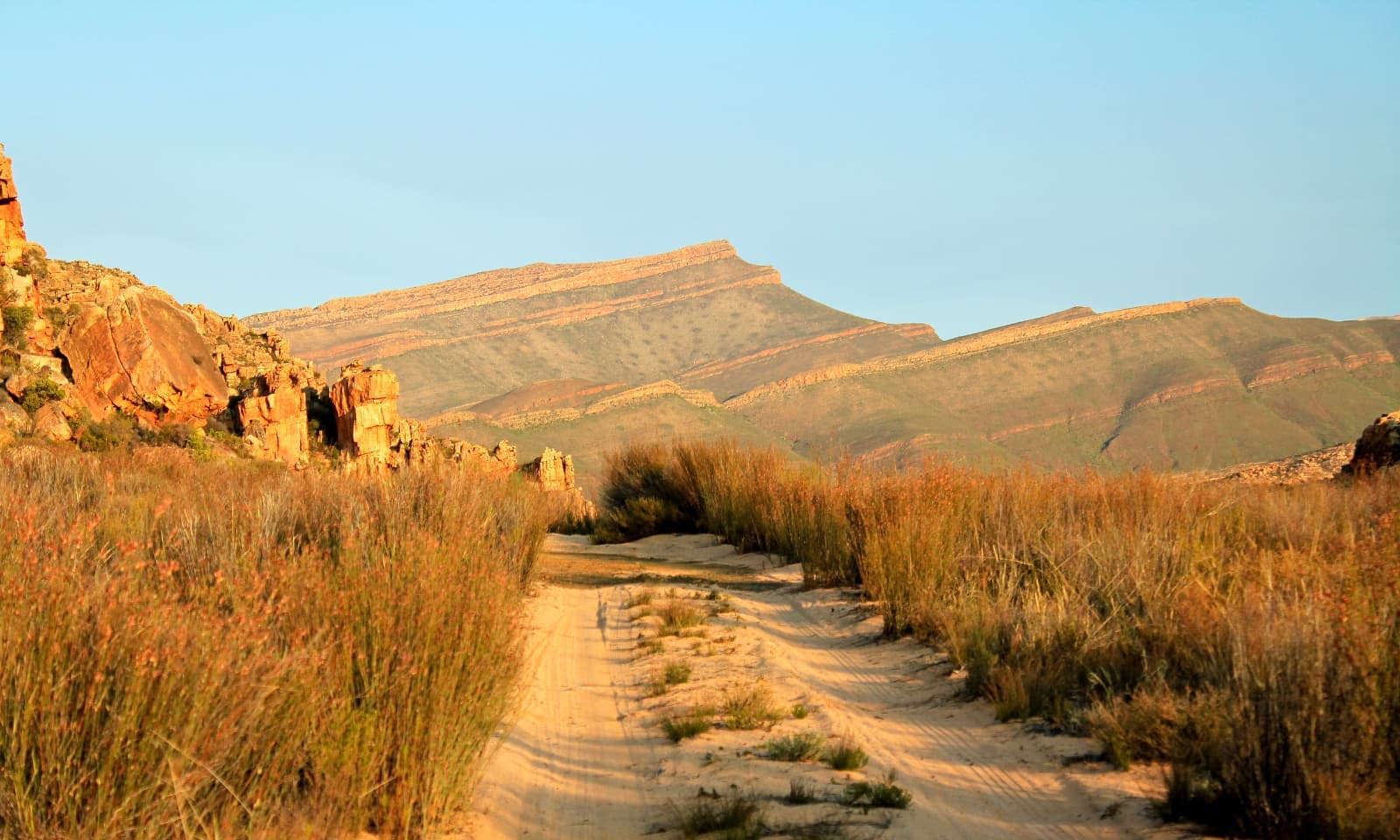 Cederberg Region - Image 2