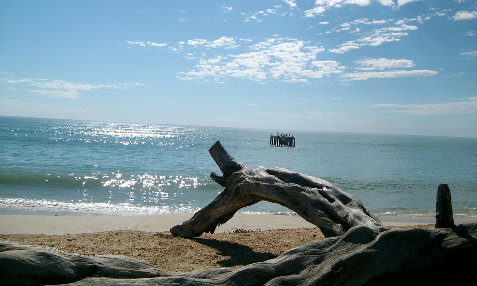 West Coast - Image 2